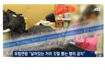 너무 저렴해서 외면받은 국내 발명품 웰론충전재