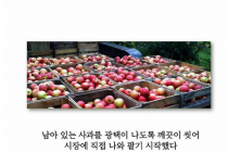사과 과수원하다 수천억대 자산가가 된 인생 역전한 부부