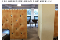 소장욕구 드는 해태제과 파티션.jpg