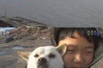 싱글벙글 강아지랑 같이 등교하는 초등학생