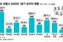 코로나의 역설…나이롱환자 줄자 실적 좋아진 손보사