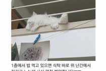 다칠까봐 걱정되서 글쓴이