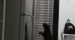 냉장고 꼭대기에 올라가는 고양이.gif
