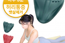 [쿠팡] 핏스팟 핏릴렉스 장요근 마사지 뱃살제거 근막이완 도구 29,000원