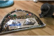 비닐가방사면 사은품으로 고양이 모빌텐트 줌