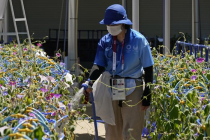 "우승자에 후쿠시마산 꽃다발 드려요" 日의 부흥올림픽 홍보