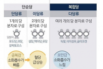 탄수화물을 꼭 먹어야 하는 이유