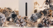 [위메프] 디즈니 공식 정품 겨울왕국 2 올라프 LED 무선 미니 가습기 TNKOF-19