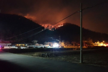 심각한 울산 산불 상황