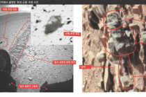 미국 학자 “화성에 곤충”..과학계 “말도 안돼”