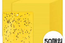 [쿠팡] 그린스하비 날파리 초파리 끈끈이 트랩 스티커형 14,800원
