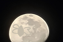 갤럭시 S21에서 찍히는 달 사진은 가짜??
