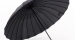 [쿠팡] 튼튼한 24K 방풍 태풍 장우산 24골 초강력 대형 자동 우산 16,800원