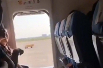 “신선한 공기 마시고 싶어”…비행기 비상문 연 중국 승객