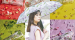 [쿠팡] WPC우산 튼튼한 반투명우산 3단우산 예쁜우산 비닐우산 성인투명우산 58,800원