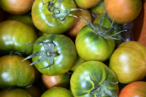 [쿠팡] 고당도 프리미엄 부산 대저 짭짤이 토마토, 1박스, 대저토마토 2.5kg (L) 24,300원