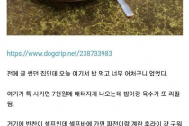 장사 막 하는 국밥집