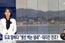 도쿄 앞바다 "생선 썩는 냄새"..대지진 전조?