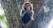 죽은 원숭이 해부한 중국 수의사 바이러스 감염 사망