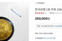 25만배 뛴 한국 코인 ㄷㄷㄷ.jpg