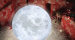 [쿠팡] 선진 16색 감성 달 무드등 중형 + 리모컨 13,450원